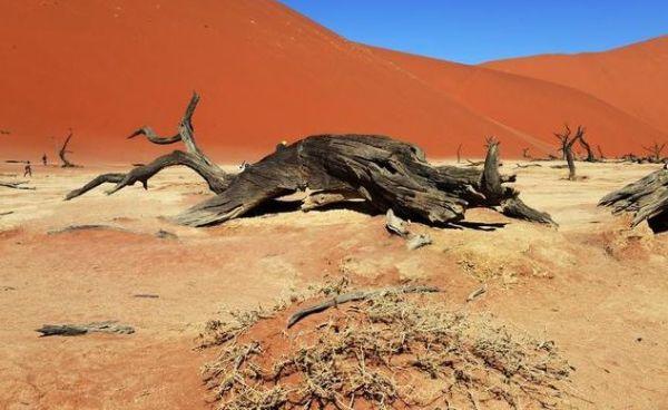 魔鬼天坑洞穴,魔鬼洞隧道