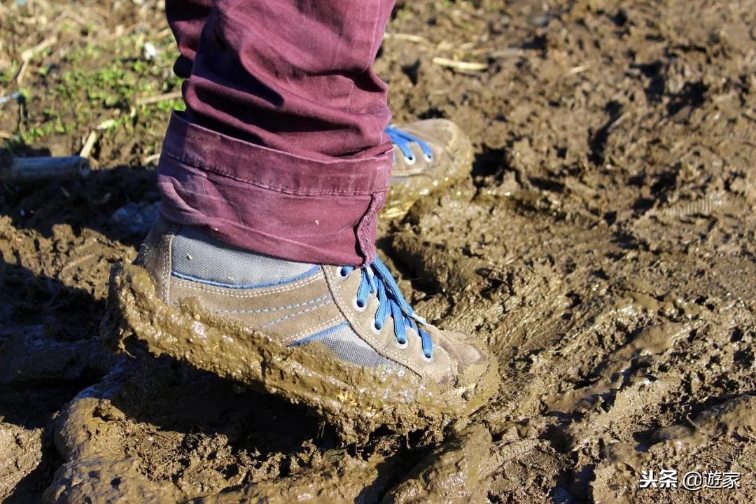 携带违禁品回国入境如何处罚,海关法入境违规携带物品处罚规定