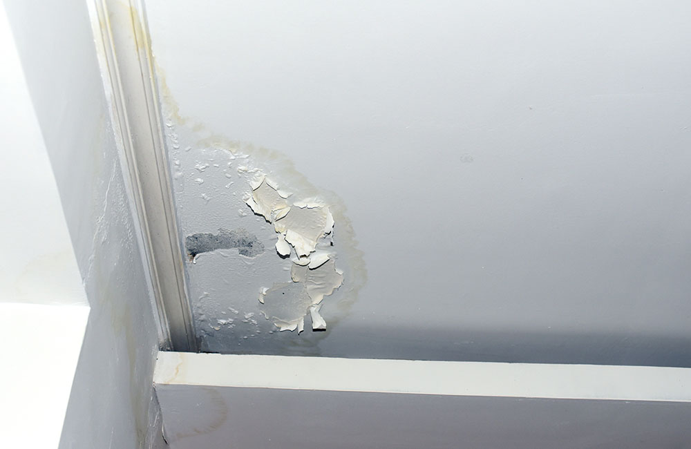 刚入住乳胶漆就脏了,墙面粉化掉皮怎么办