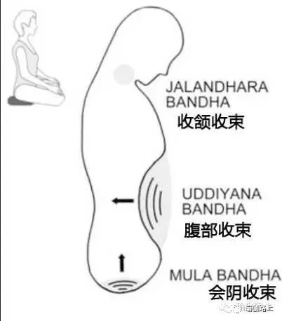 练瑜伽「启动会阴收束」身体就轻盈了，一定要掌握的技巧