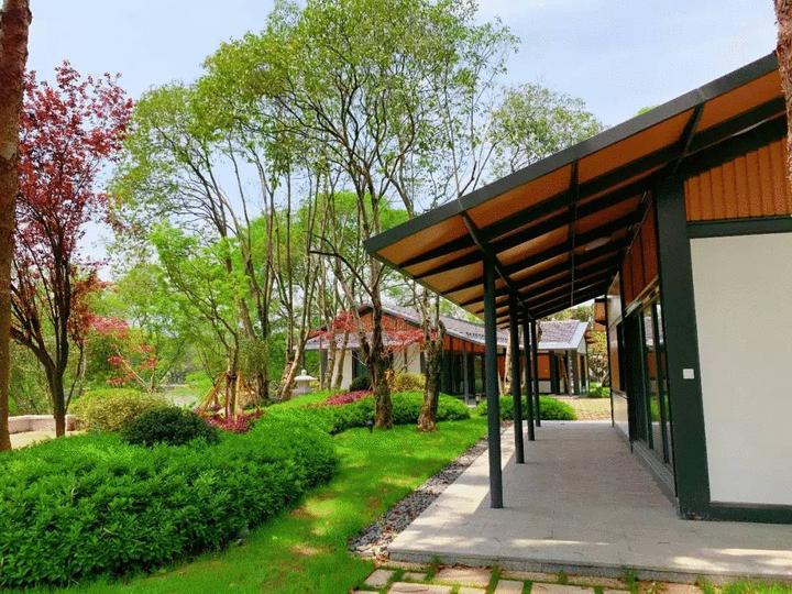 江心屿值得看的地方,最美江心屿