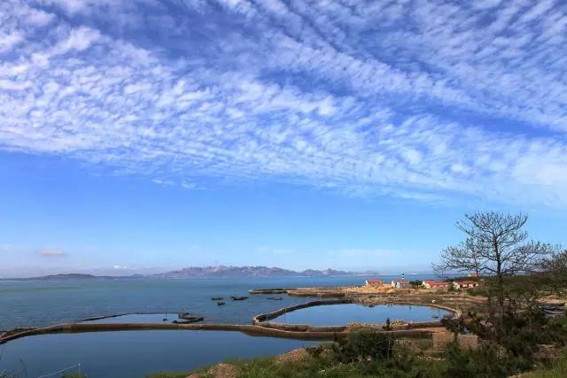 青岛文艺小岛旅游攻略,青岛旅游居住小岛有哪些