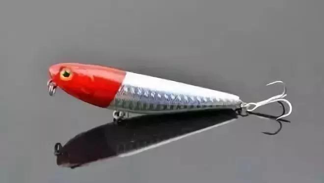 路亚是怎么钓鱼的,路亚新手入门教程路亚黑鱼