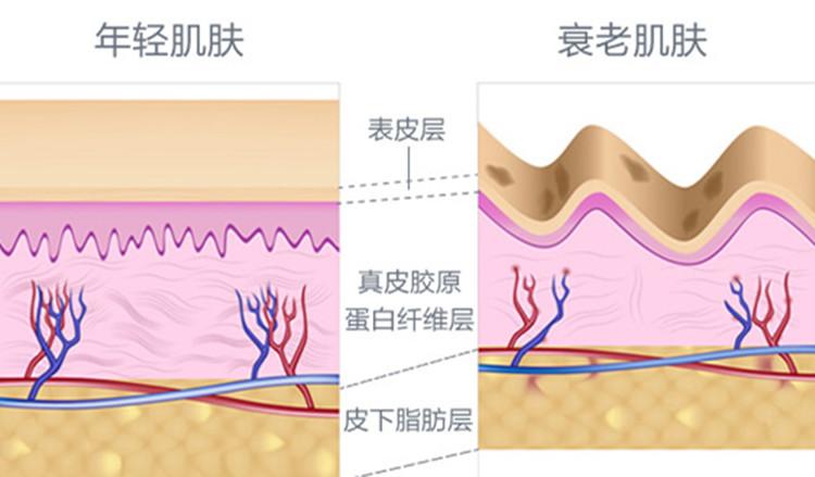 脸胖毁所有？3招教你解锁瘦脸指南