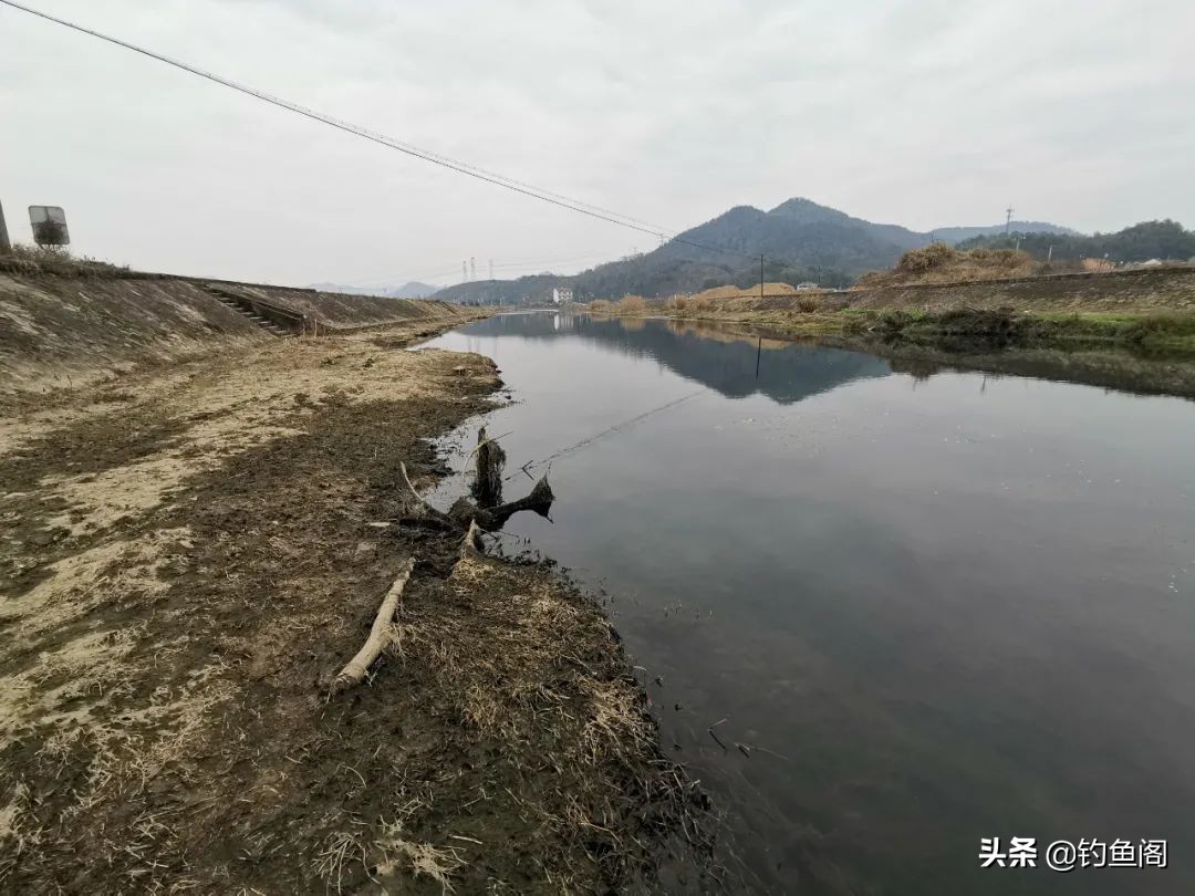 被电过的地方还能钓鱼吗,被电的水域多久能钓鱼