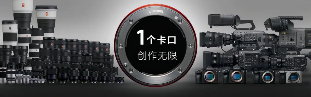 佳能aps-c半幅相机推荐,佳能发布rf卡口的apsc相机在哪买