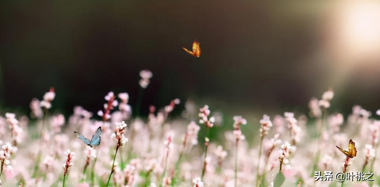 50岁人生才刚开始,真正的人生从50岁开始