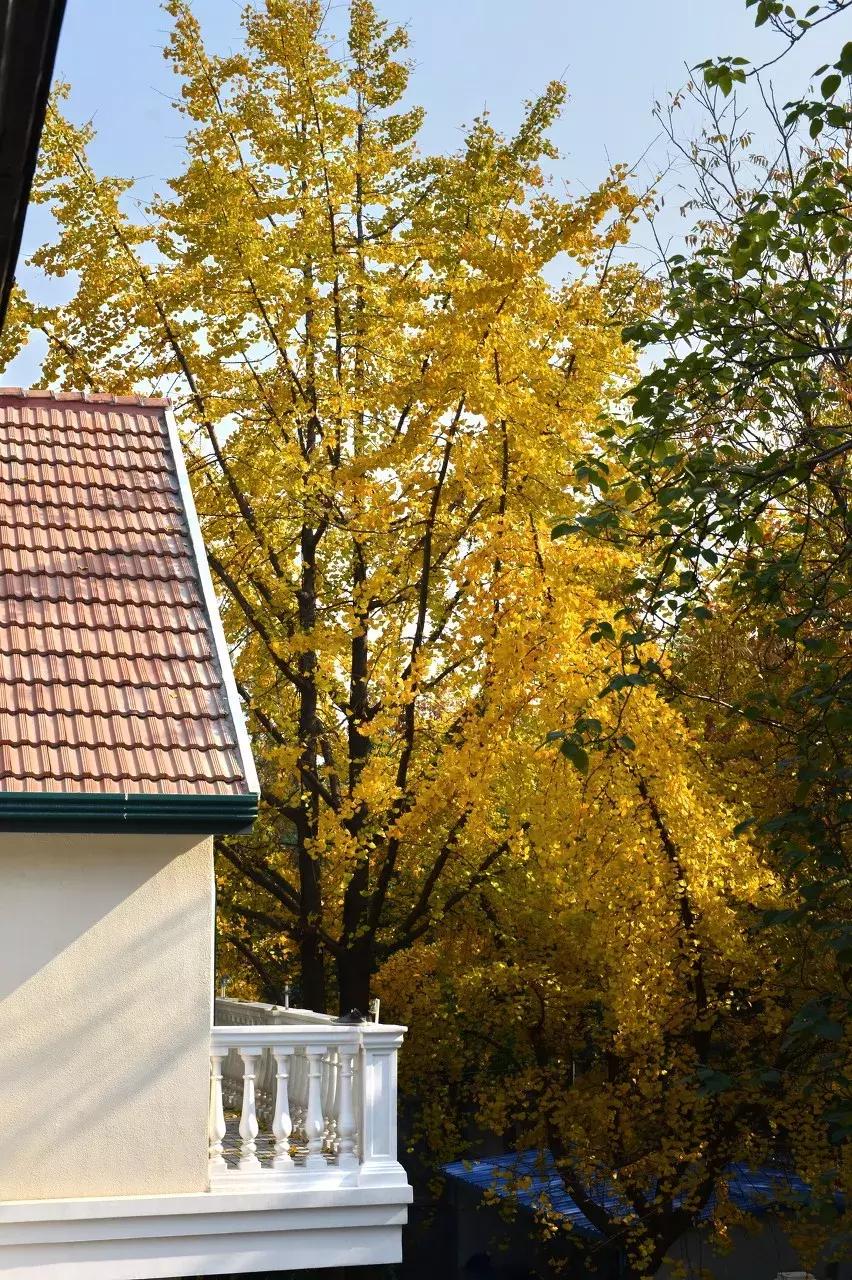 徐汇为什么叫徐汇,什么是静安