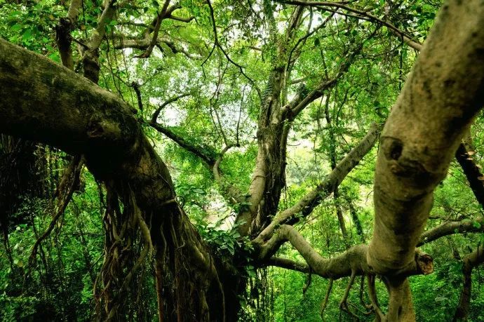 国学经典50句做人做事必看,为人处世的国学经典语录