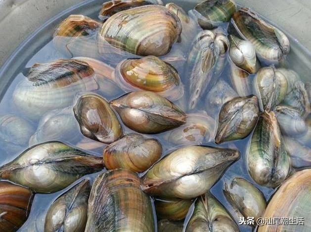 汕尾陆河农村,广东汕尾陆河新农村