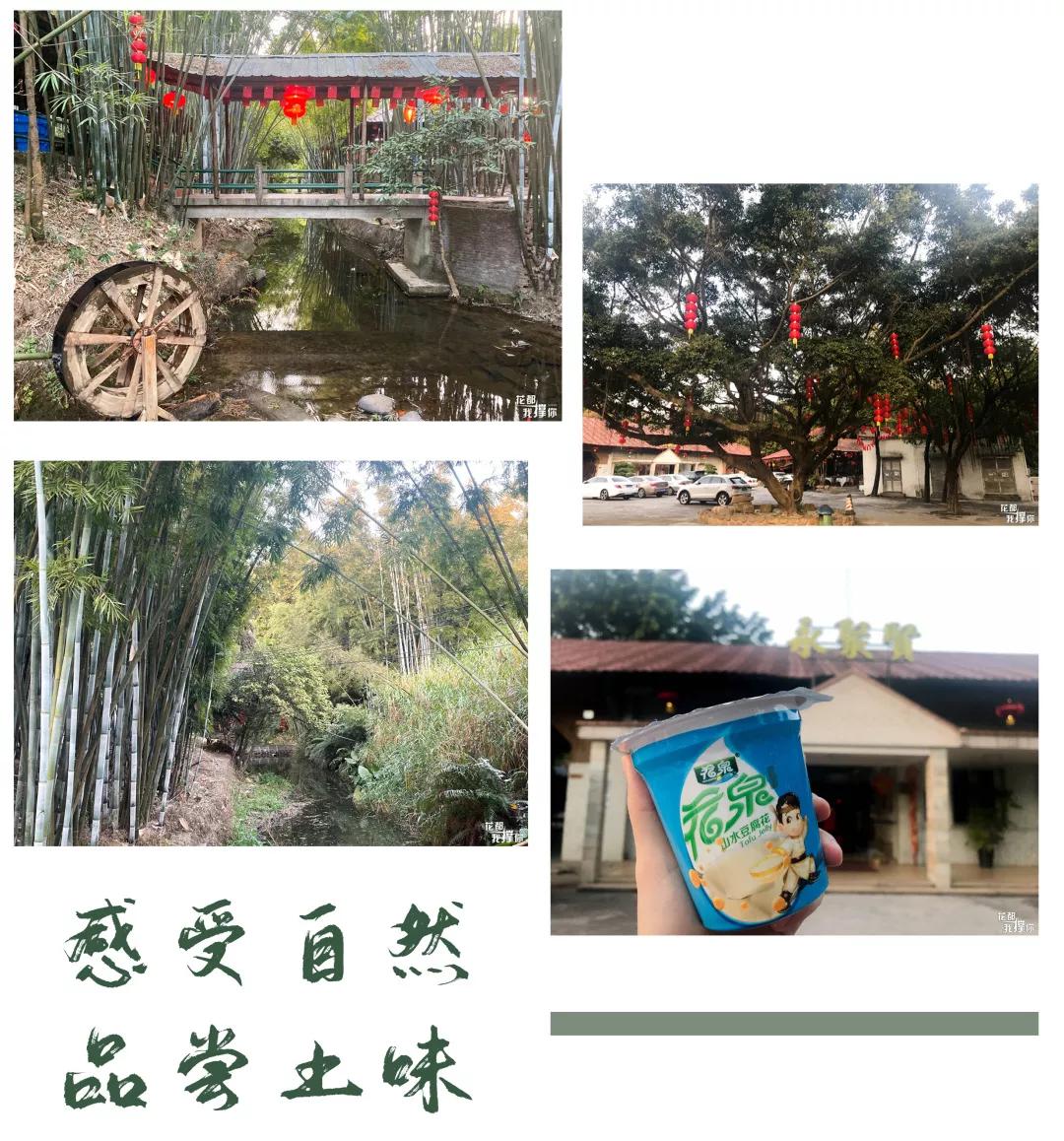 天寒地冻去哪里好玩,芙蓉嶂风景区美食