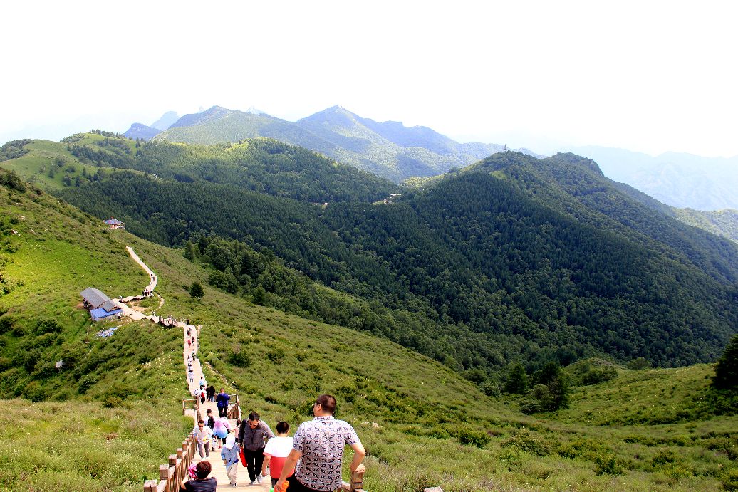 驼梁一日游日记,五台县南驼梁游记