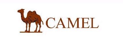 规则引擎easyrule,规则引擎liteflow