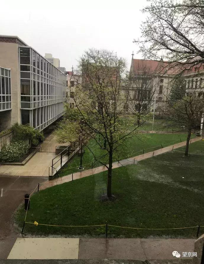 北京望京最好的学校,望京区最好小学