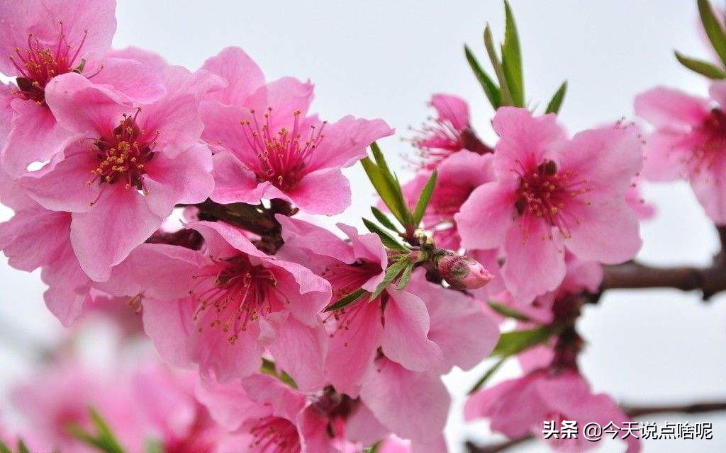 家里的物品摆放风水禁忌,家中物品摆放的风水禁忌