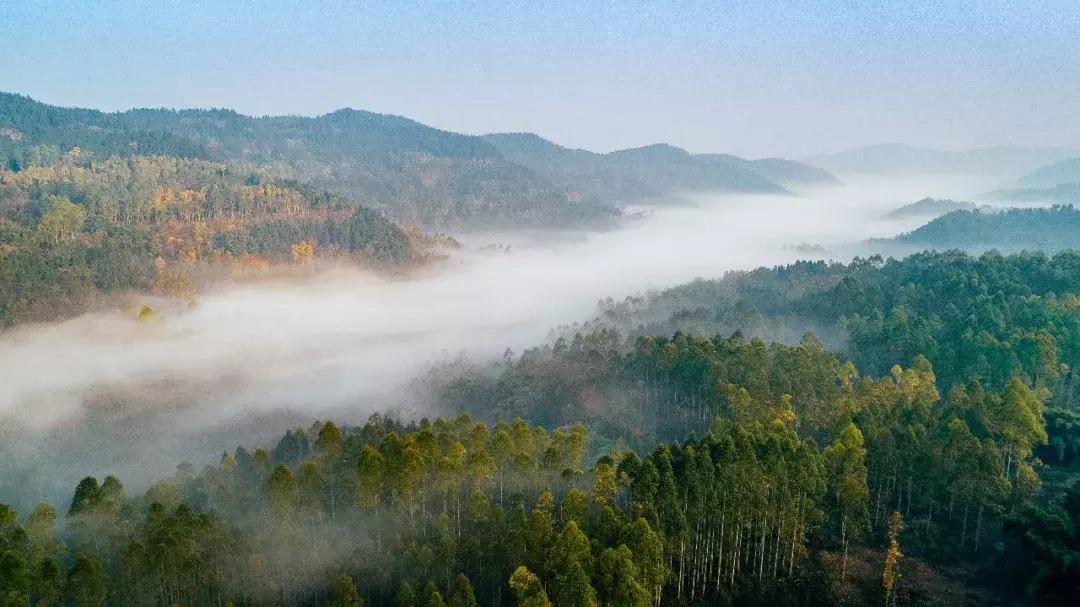 全球最大的城市森林公园,全球最绿色的城市