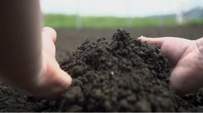 黑龙江黑土地被盗事件,偷黑土被判刑后续