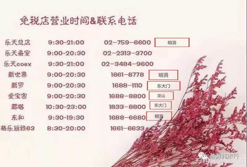 这篇太全了!一看就懂的韩国旅游走心攻略