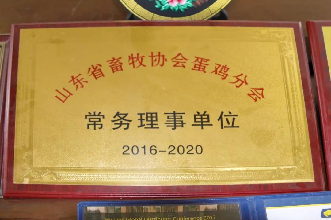 助力村民养鸡致富,山东裕生禽业有限公司