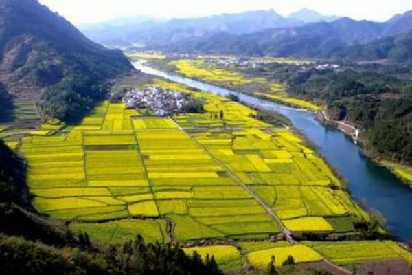 农业项目怎样才能拿到补贴,乡村农业项目补贴最新政策