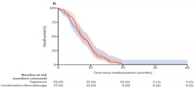 非小细胞肺癌的二线治疗方案,小细胞肺癌二线维持治疗