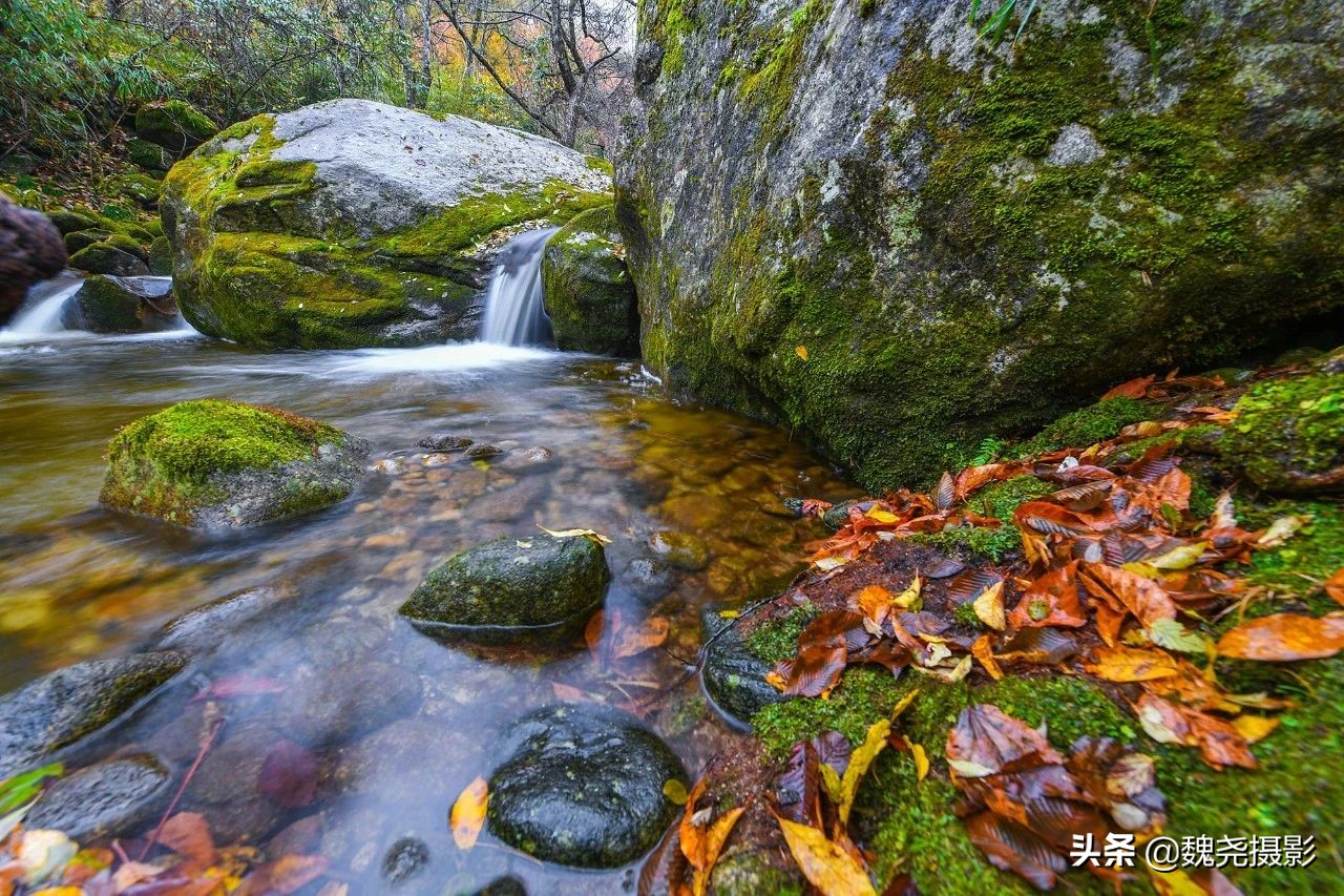 留坝秦岭之夜,留坝秦岭森林公园