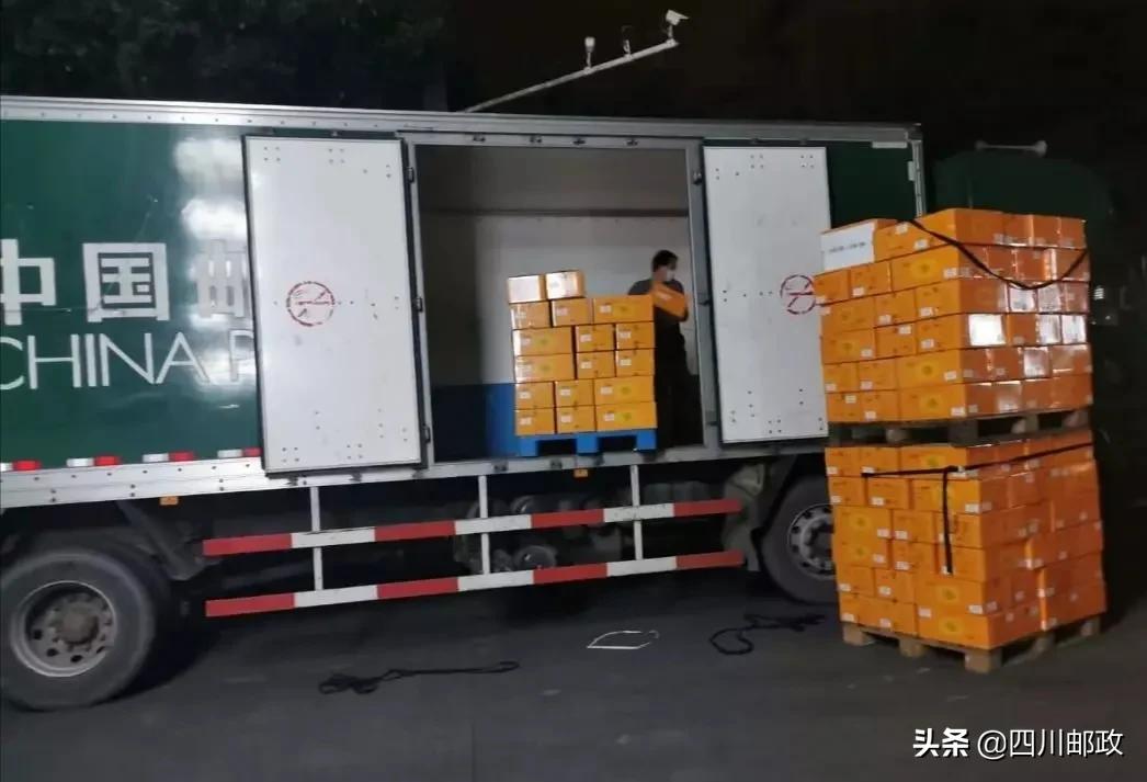 农资配送助春耕,春耕送农资精准帮扶暖人心