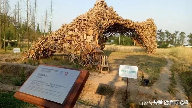 国内赏竹,中国人赏竹