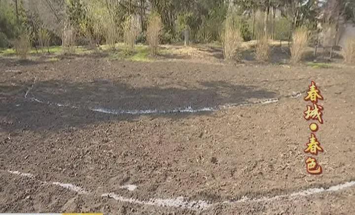 长春百花园游玩攻略,长春的百花园冬天的景色