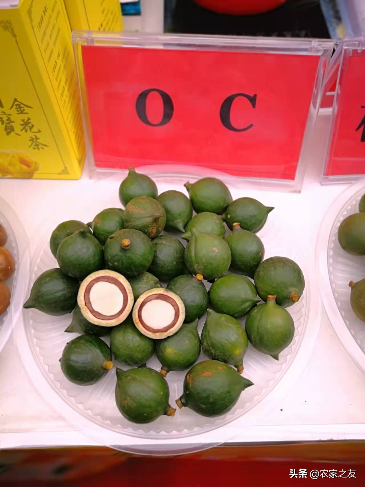 扶绥县昌平坚果苗,扶绥昌平坚果种植基地