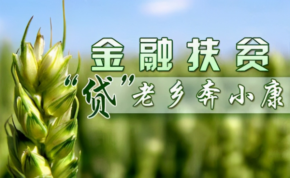 贫困户免息贷款到期还不上怎么办,贫困户贷款到期无力偿还