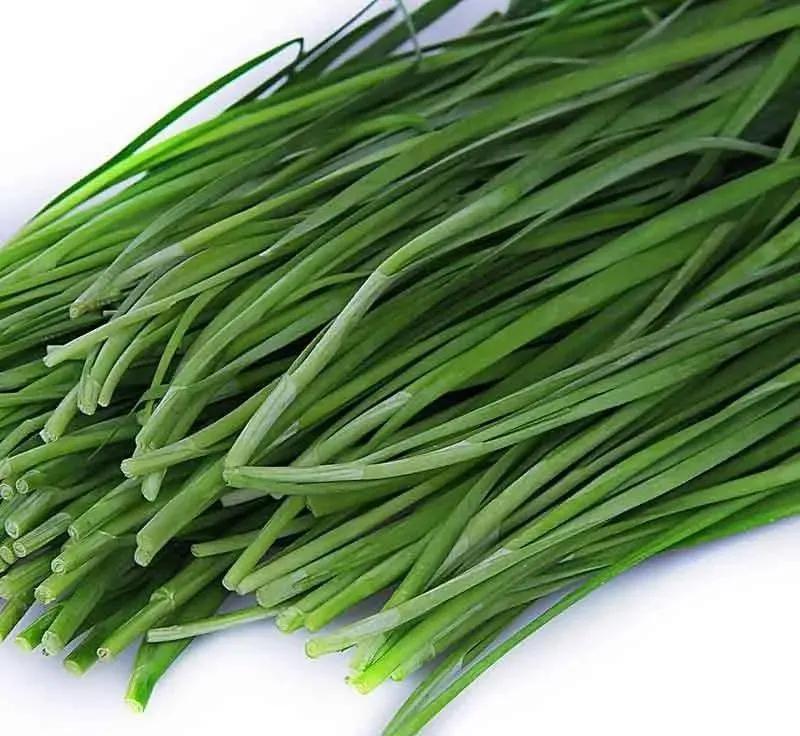 哺乳期不能吃哪些回奶食物,什么食物会回奶哺乳期不能吃