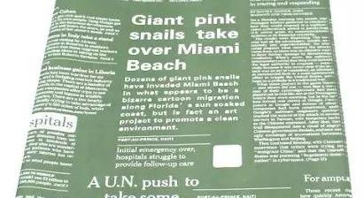 花店花束学习,花店花束插花入门自学书籍