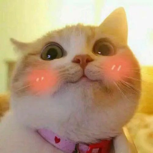 便宜好闻的香水男生,香水什么味道好闻男生