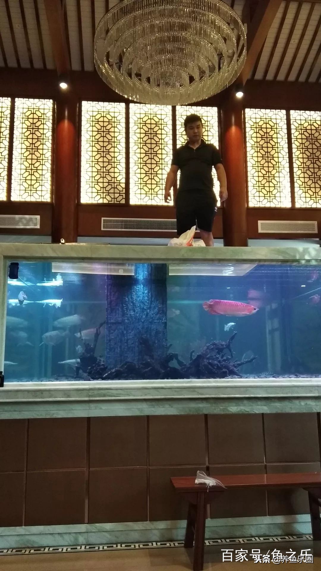 这位土豪家的渔场,光滤材就花了500多万,你确定不要见识一下?