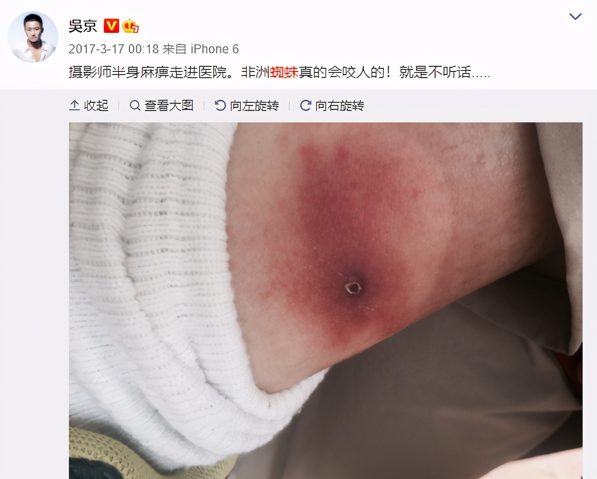 承认何猷君优秀有那么难吗,何猷君被人吐槽