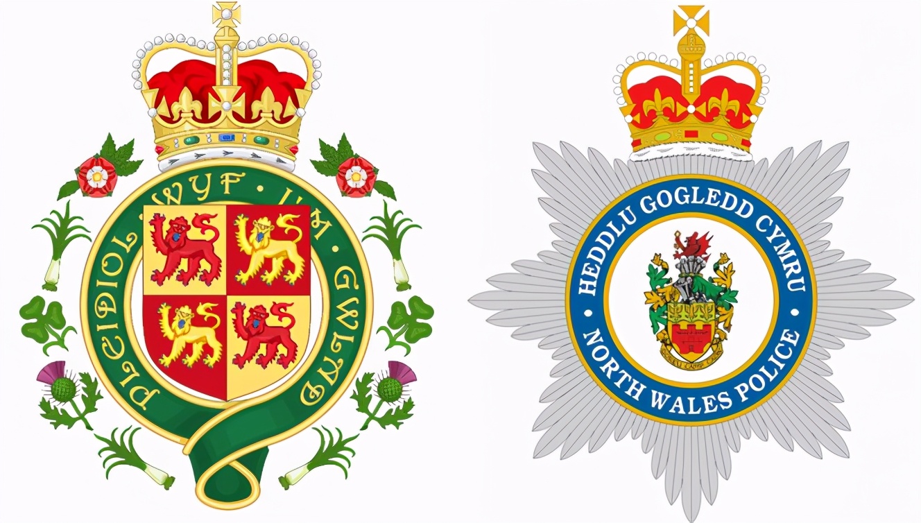 罕见的特种部队徽章,罕见徽章