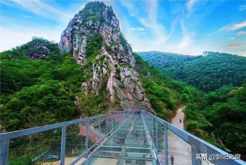 甯備簳椋庢儏杩樻槸甯備簳椋庡厜,甯備簳姘旀伅椋庢櫙