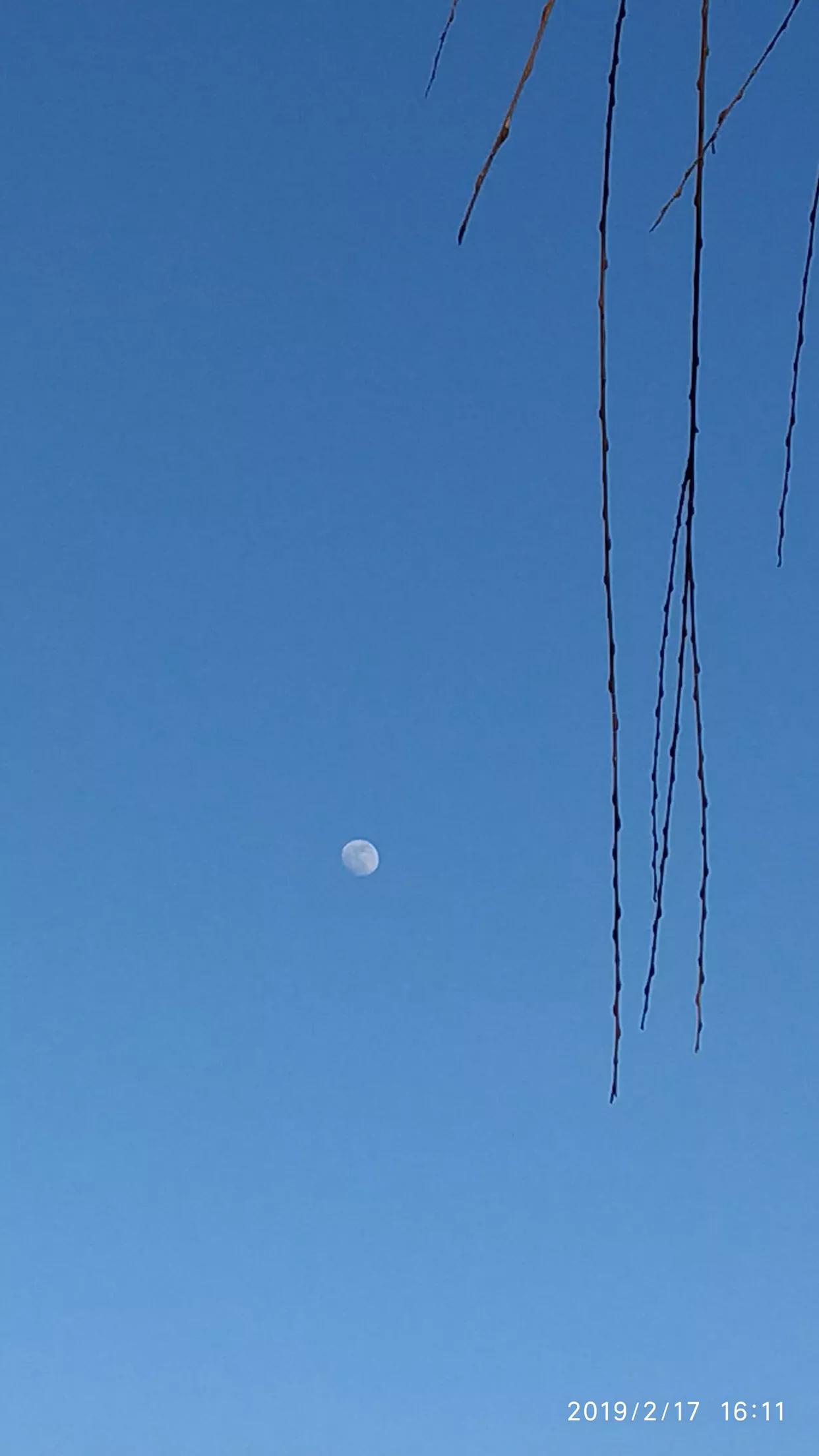 手拍世界,手拍世界近期作品