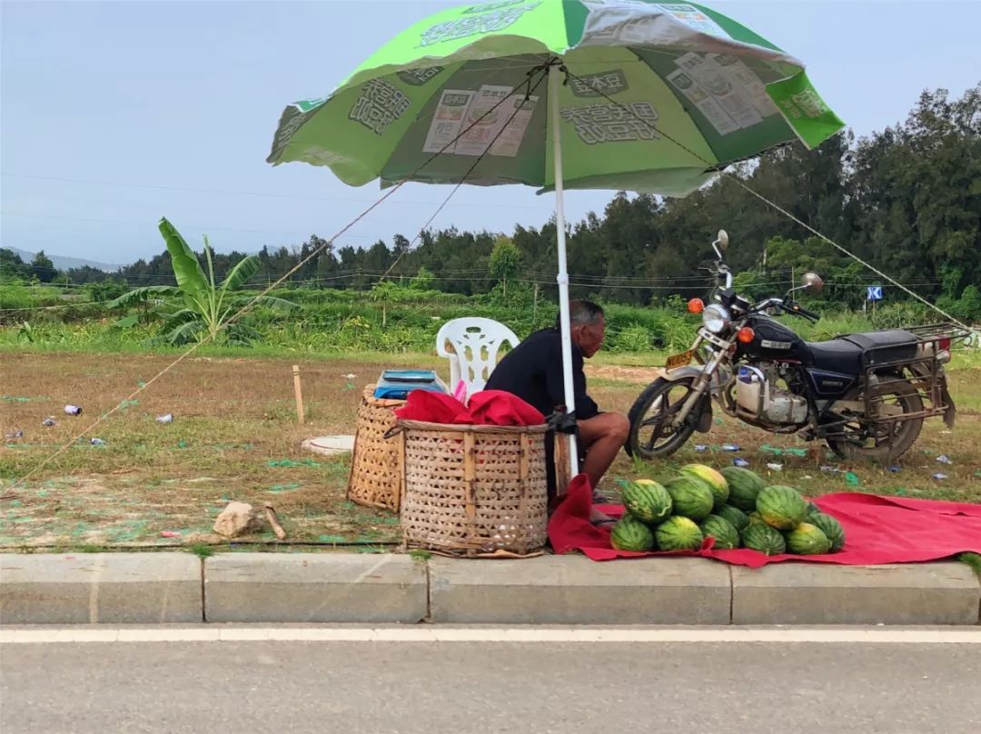 翔安机场建设效果图,翔安机场全景