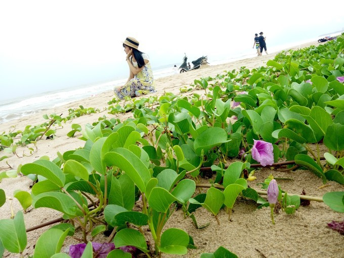 去热带的岛屿游泳,去热带旅行