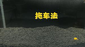 逗钓实操调漂技巧图解大全,钓鱼传统钓法是怎么调漂的