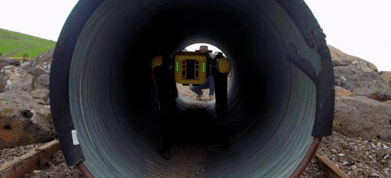 连拆弹、监控、拉黄包车都会，还有什么是这条机器狗不会做的？