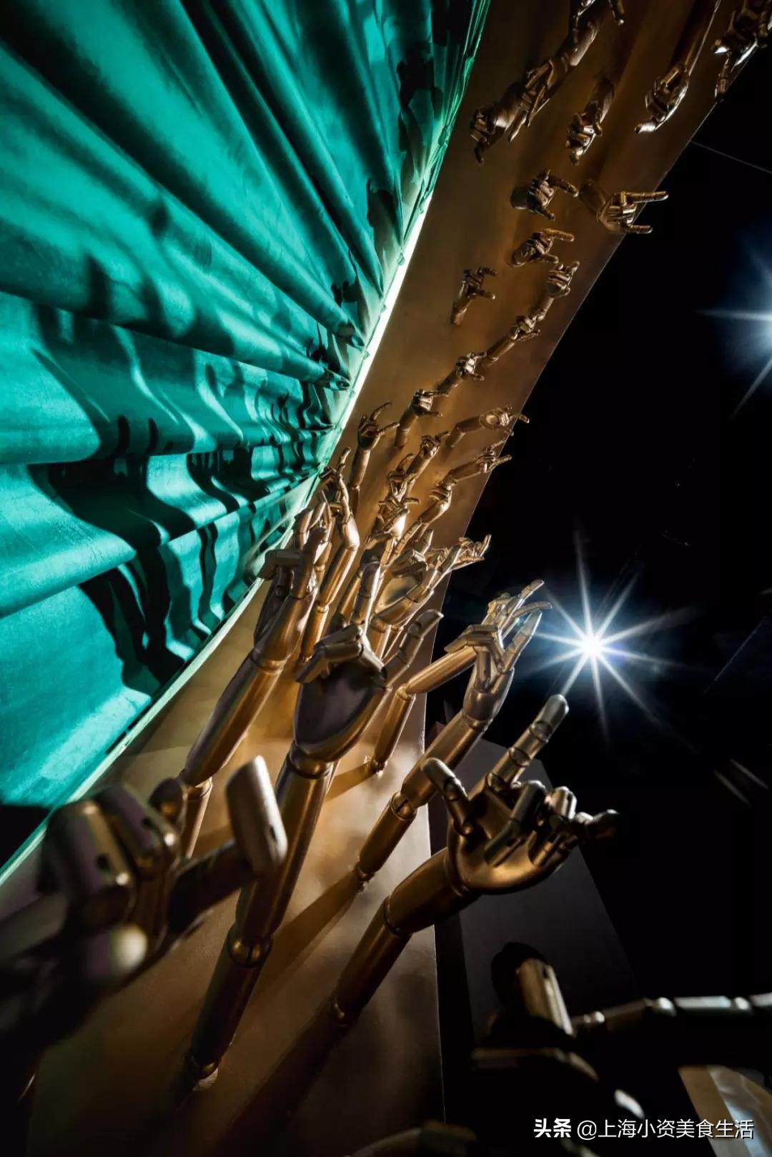 精神病院魔都,魔都精神病医院院长