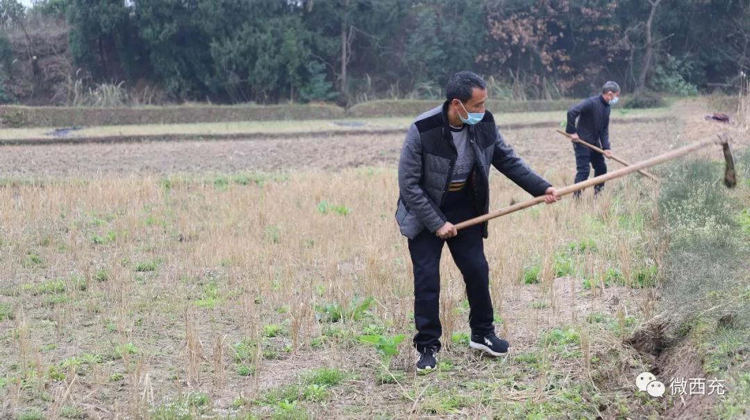 疫情防控和农机春耕两不误,抗疫春耕两不误安全保电到田间