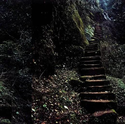 什么样的夫妻注定不能白头到老,什么样的夫妻能白头偕老