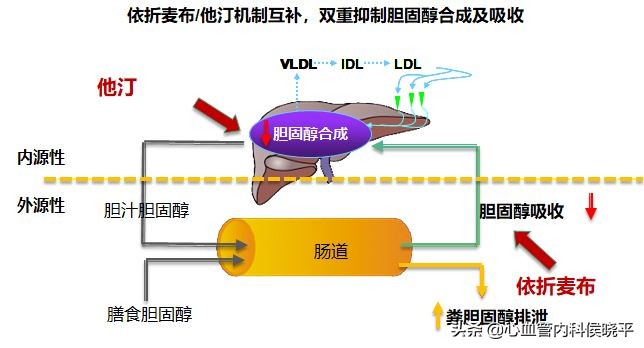 女人更年期血脂高怎么办,女性更年期高血脂