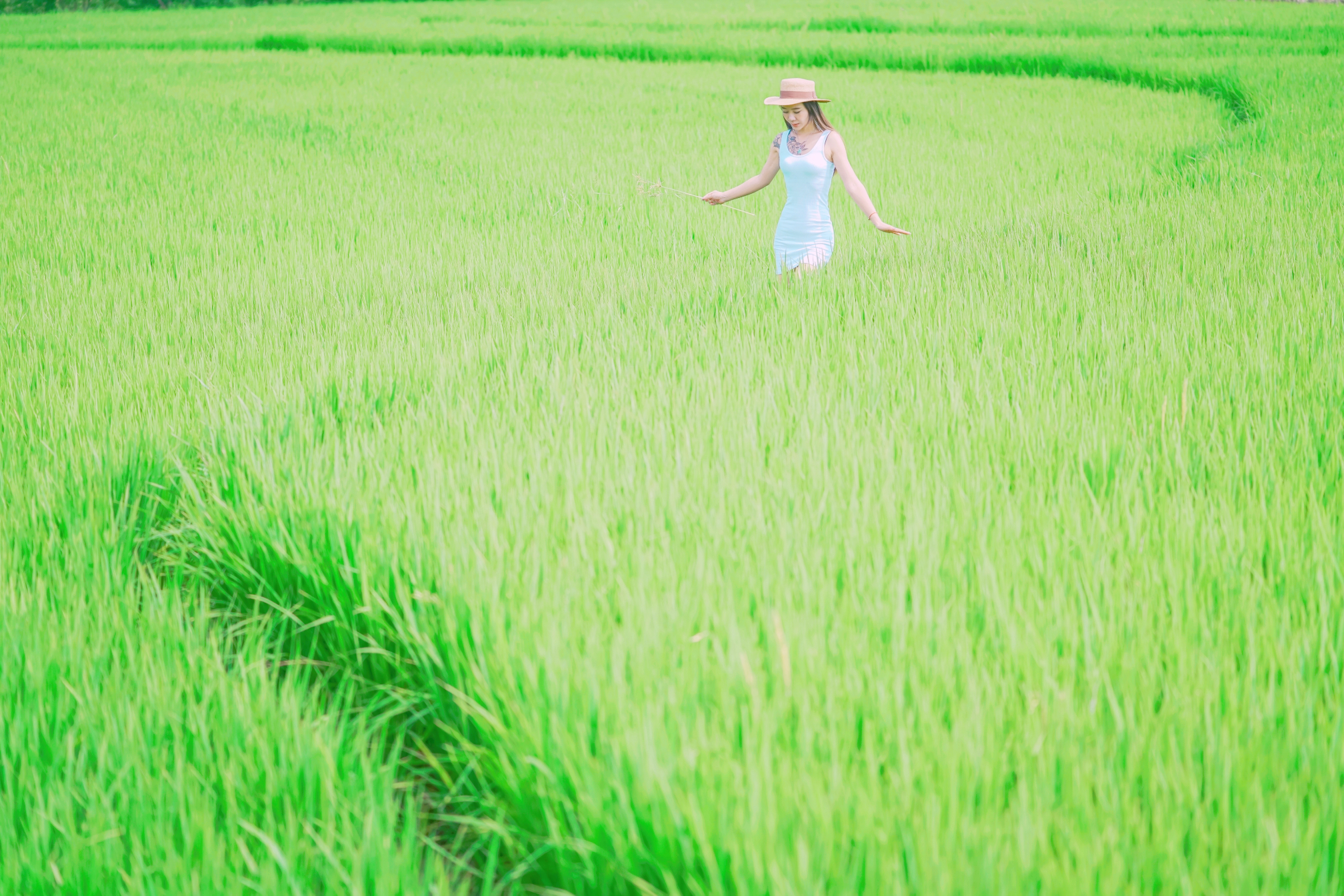 常被以为是地级市的县级市,广东为什么称为湖南