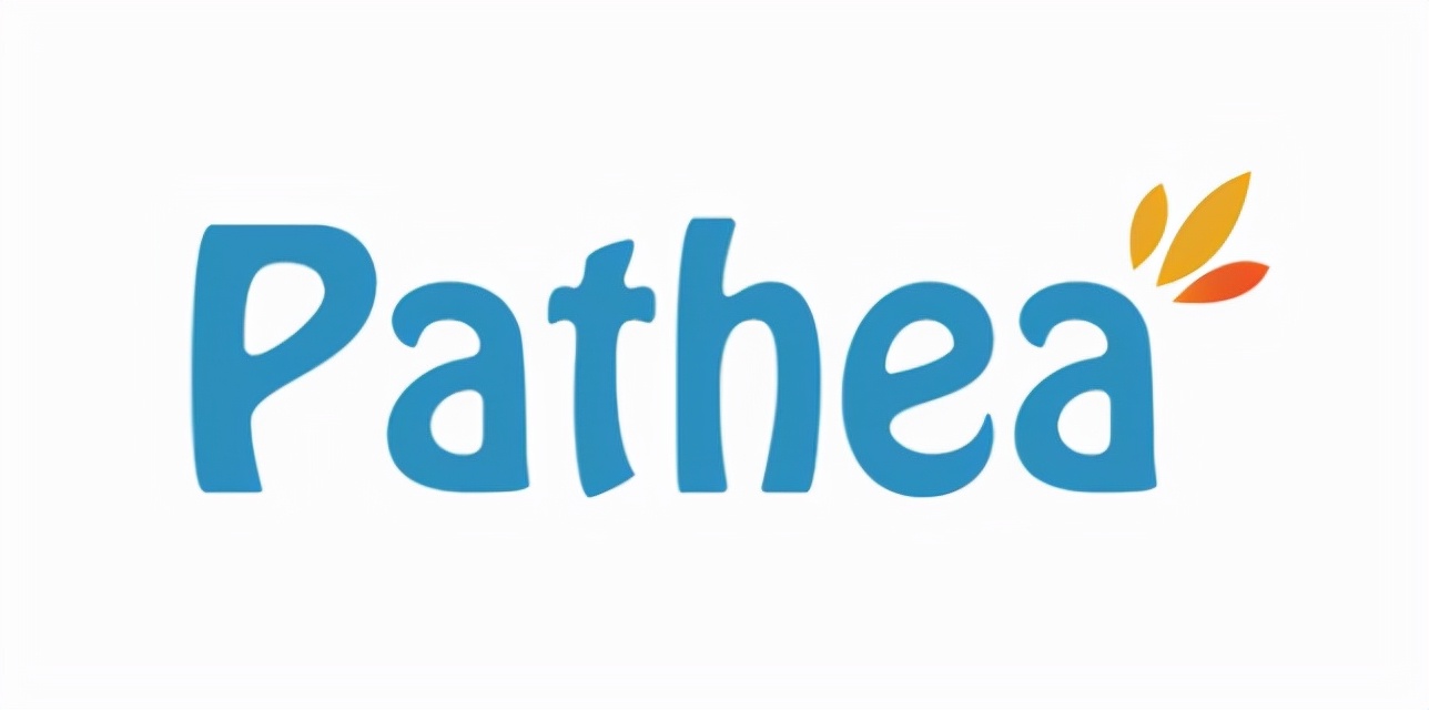 帕斯亚科技重庆 (帕斯亚科技开发的游戏)