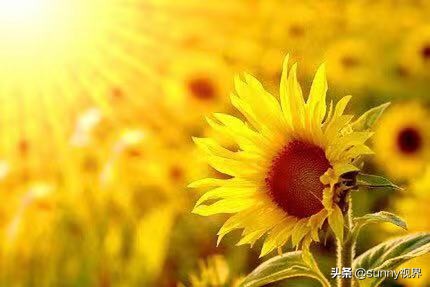 人如果一直倒霉怎么放平心态,觉得自己总是很倒霉怎么调整心态